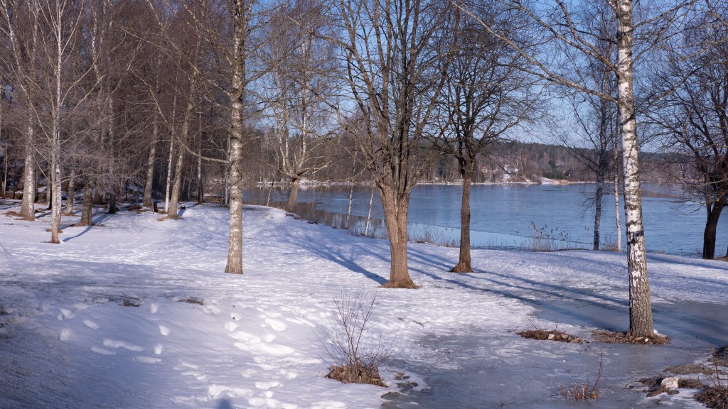 Det gamla virkesintaget på näset i Forshaga. 